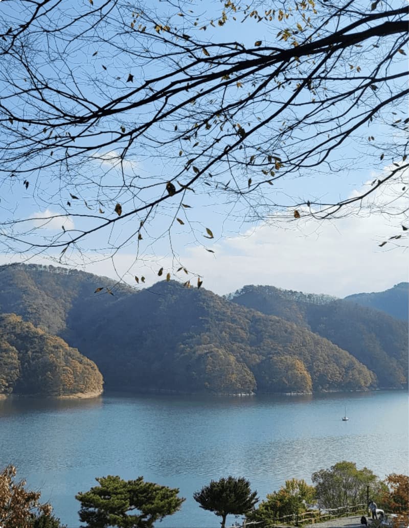 봄 (3.1~5.31) 이미지