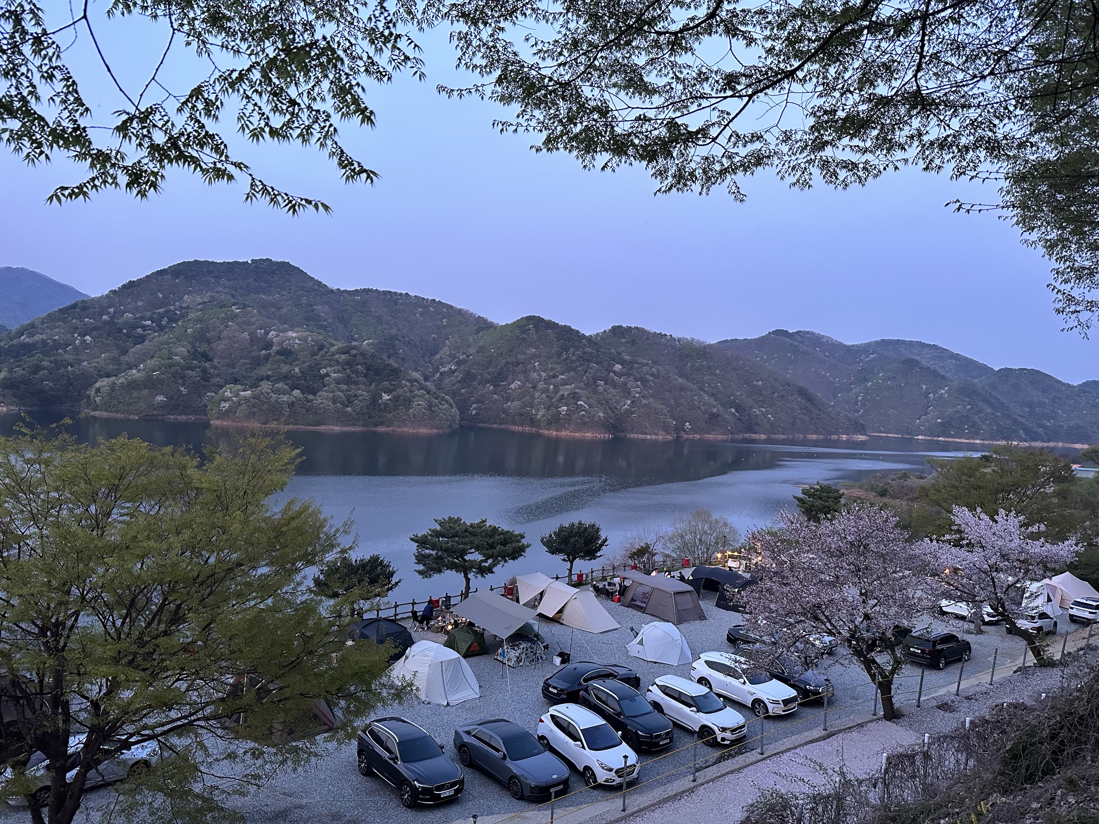 봄 (3.1~5.31) 이미지