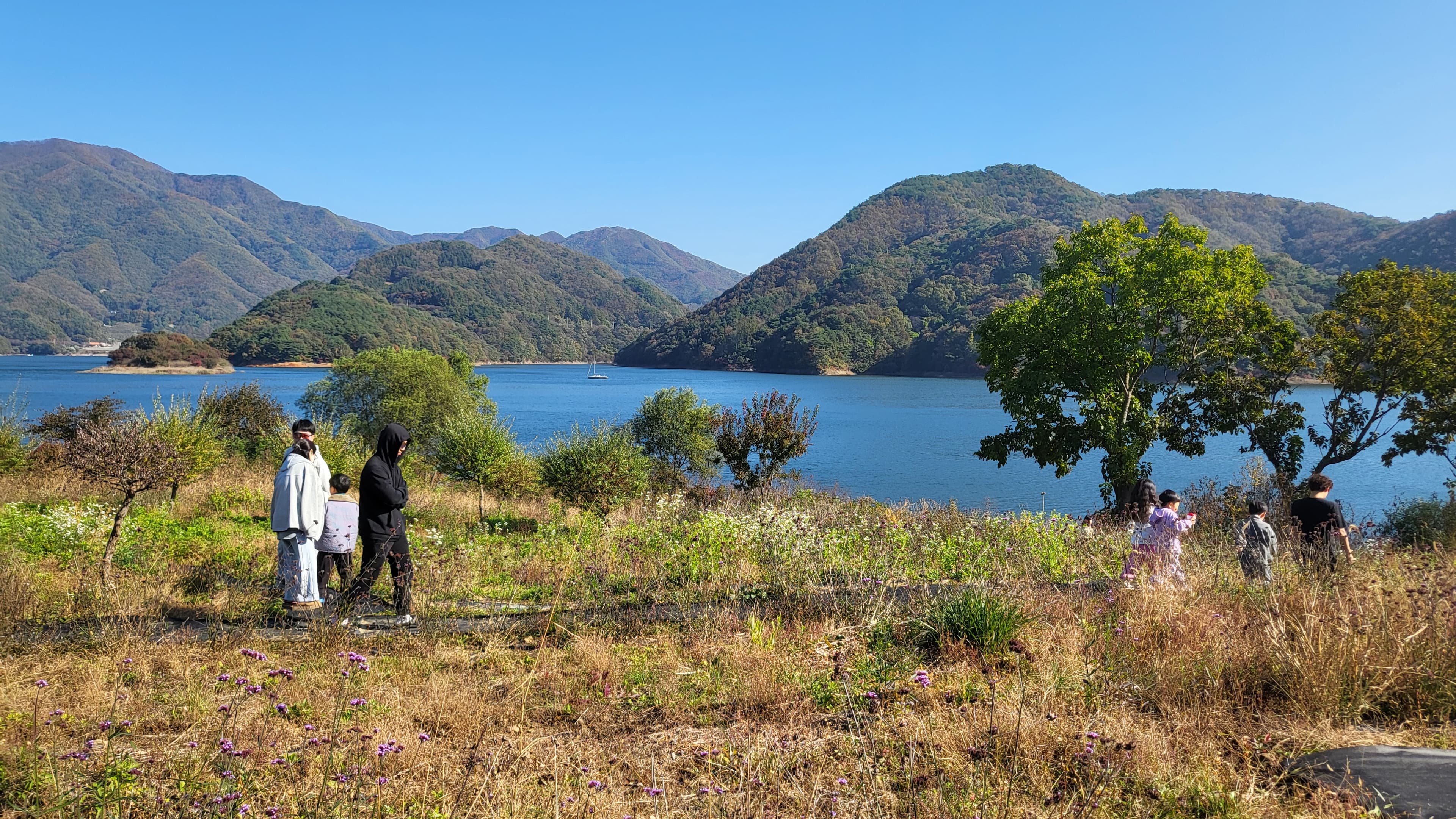 봄 (3.1~5.31) 이미지