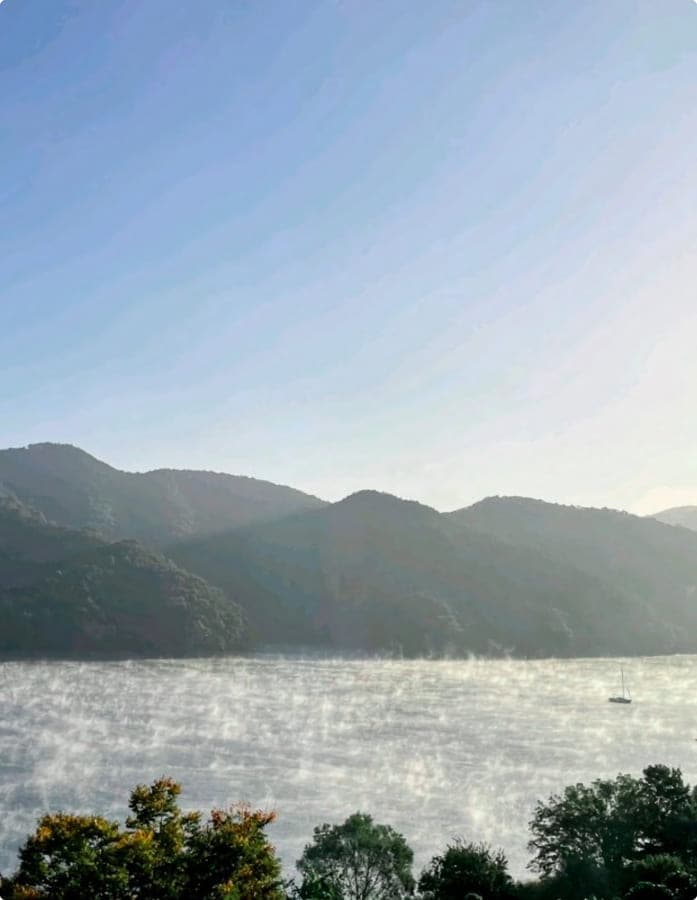 여름 (6.1~8.31) 이미지