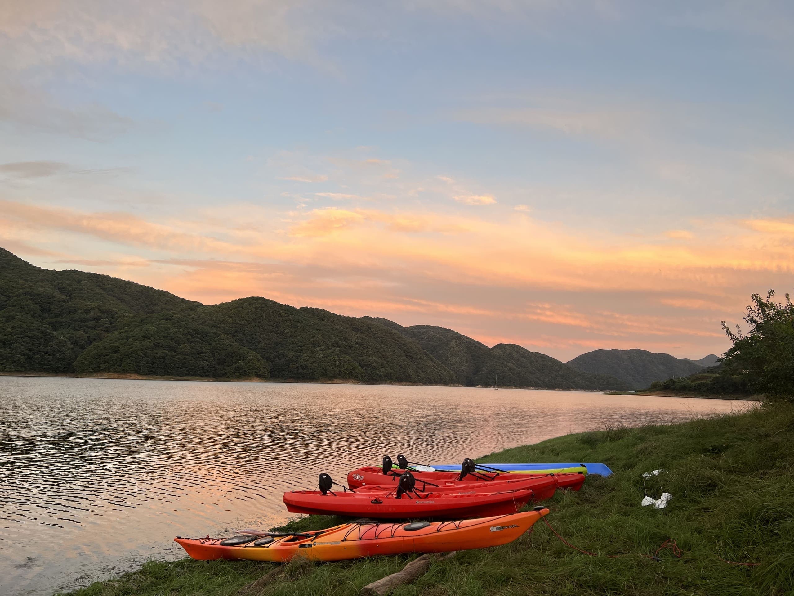 여름 (6.1~8.31) 이미지