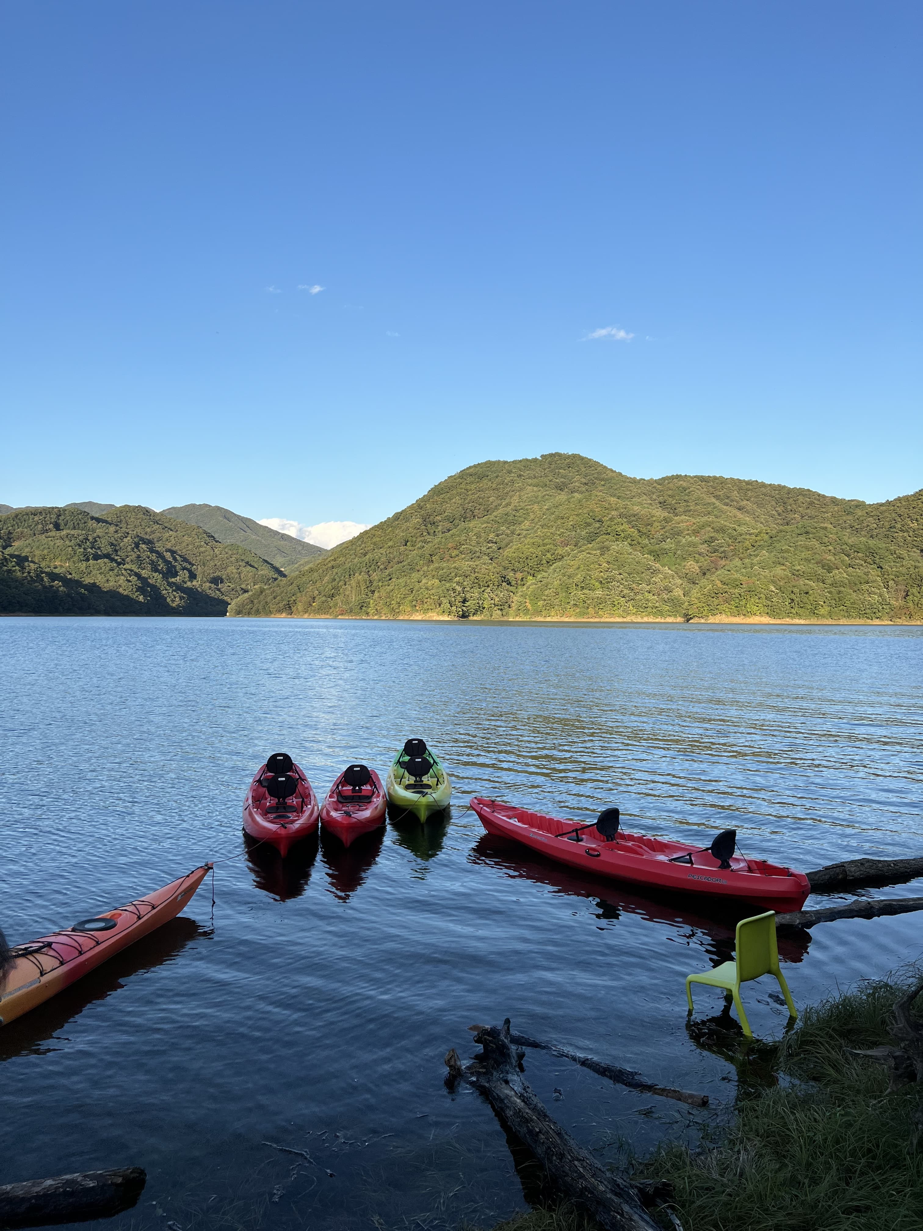 여름 (6.1~8.31) 이미지